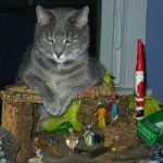 cats-nativity-scenes-19