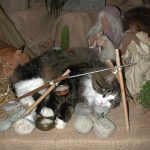 cats-nativity-scenes-20