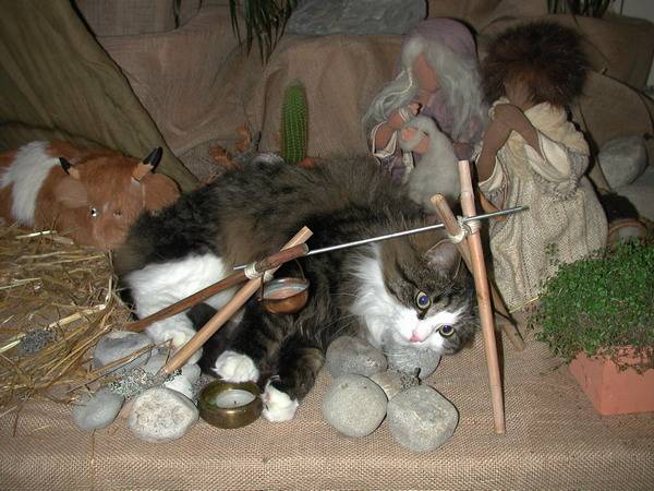 cats-nativity-scenes-20
