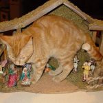 cats-nativity-scenes-23