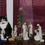 cats-nativity-scenes-26