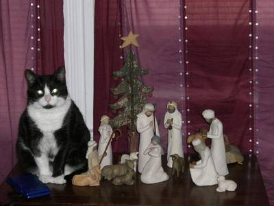 cats-nativity-scenes-26