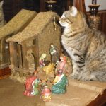 cats-nativity-scenes-31