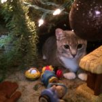 cats-nativity-scenes-32