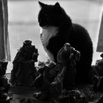 cats-nativity-scenes-35