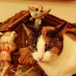 cats-nativity-scenes-37