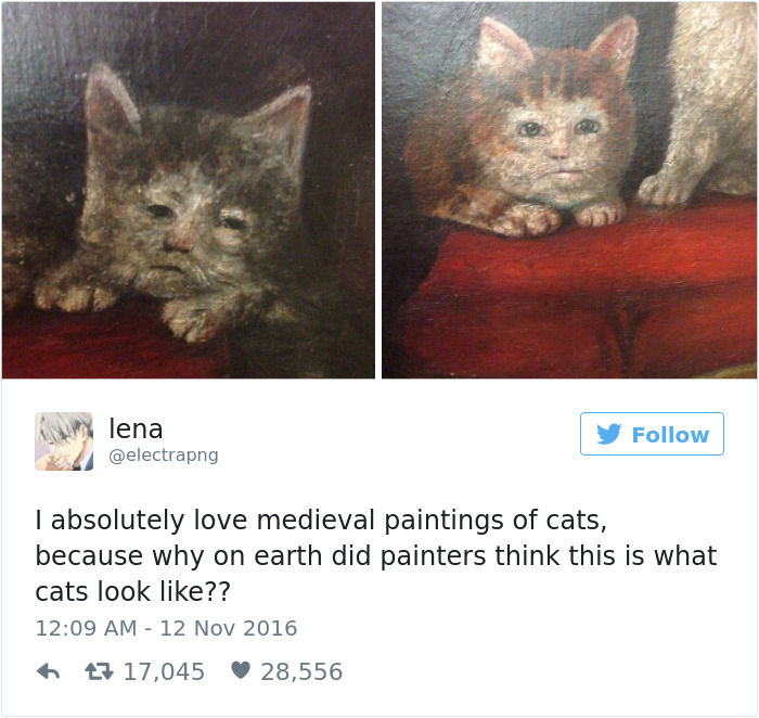 funniest-cat-tweets-2016-37