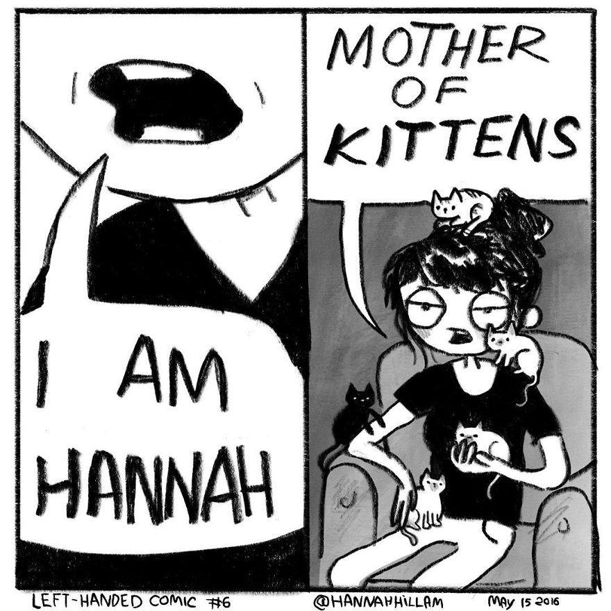 live-with-cats-hannah-20