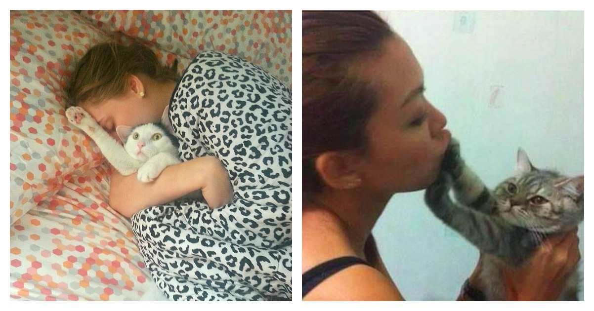 nocuddlecatfeature Catlov