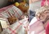 Cats Pictured Cozy And Tucked Into Bed Is The New Viral Trend In Japan
