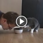 Featured-Man-Eats-Cats-Food-FB