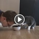 Featured-Man-Eats-Cats-Food-FB2