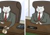 How Your Office Would Look If Your Boss Was A Cat