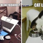 Featured-best-examples-of-cat-logic-FB