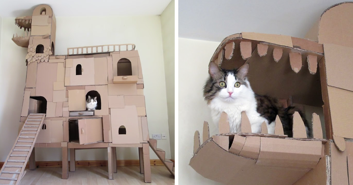 Сделать домик для кошек из коробок. Домик для кошки из картонных коробок. Картонный домик для кошки. Дом для кошки из картона. Домик для кошки из картона.