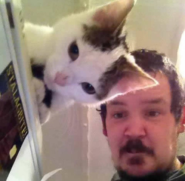 Purrfectly-Timed-Cat-Photos-20