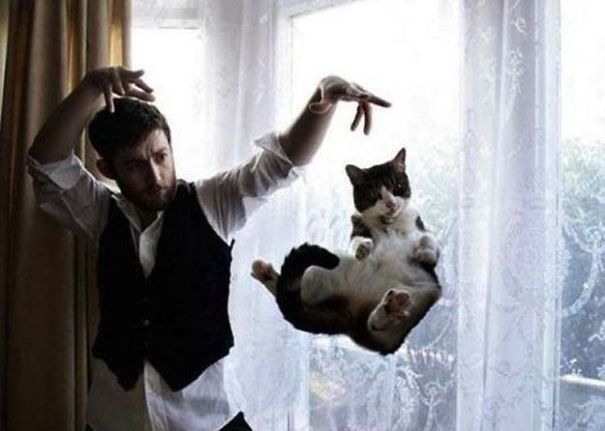 Purrfectly-Timed-Cat-Photos-35