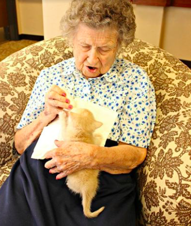 assisted-living-cat-05