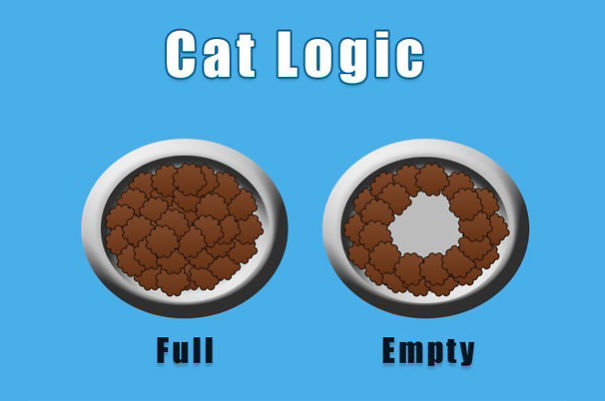 best-examples-of-cat-logic-18