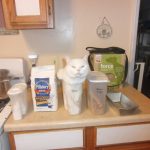 best-examples-of-cat-logic-2