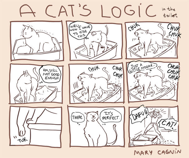 best-examples-of-cat-logic-51