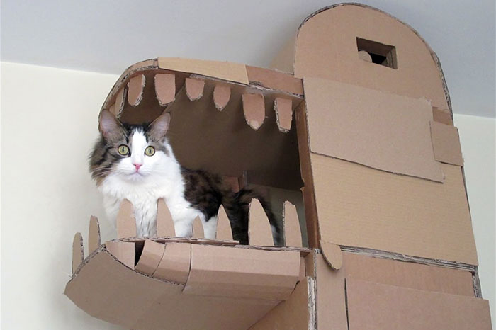cardboard-ark-structure-cat-1