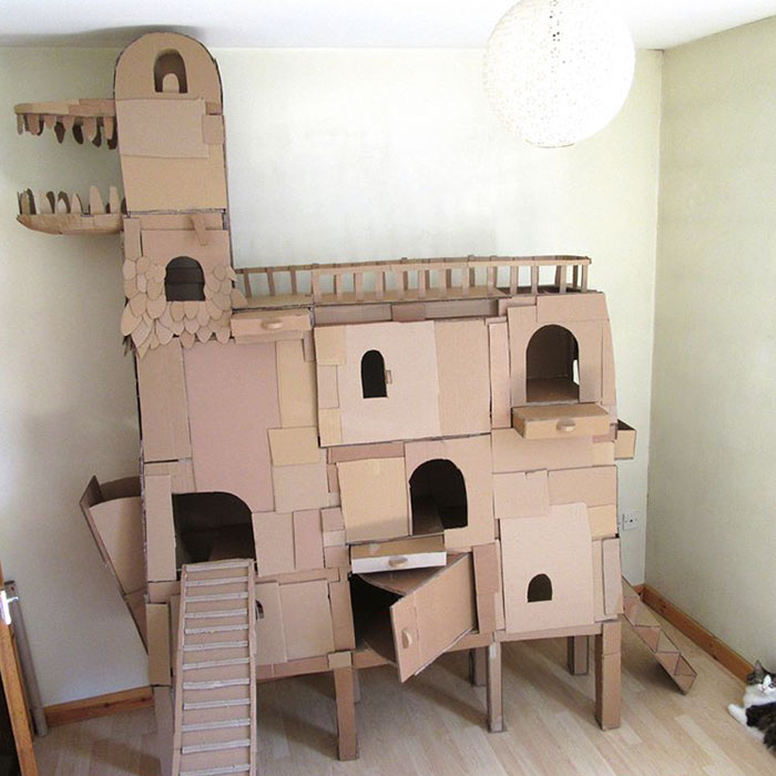 cardboard-ark-structure-cat-2