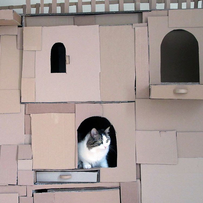 cardboard-ark-structure-cat-4