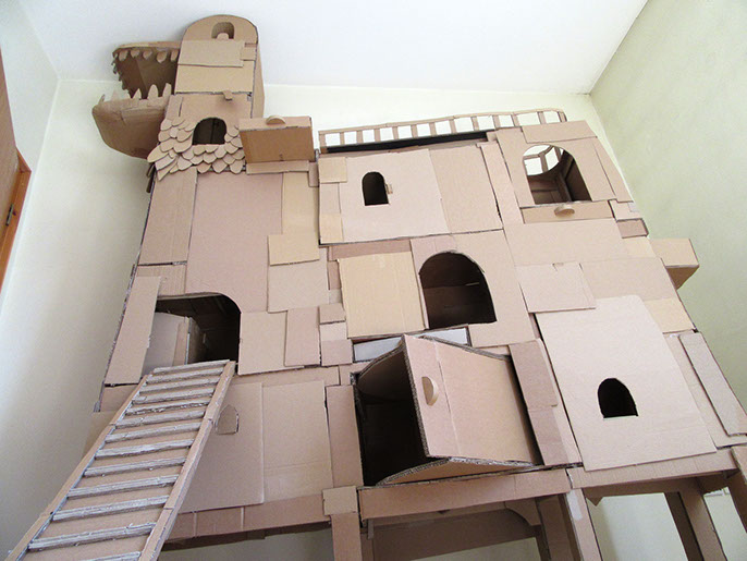 A man constructs a cardboard ark for his cat to make his furry friend happy