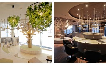 Japanese Cat Cafes That Will Wow You Beyond Belief