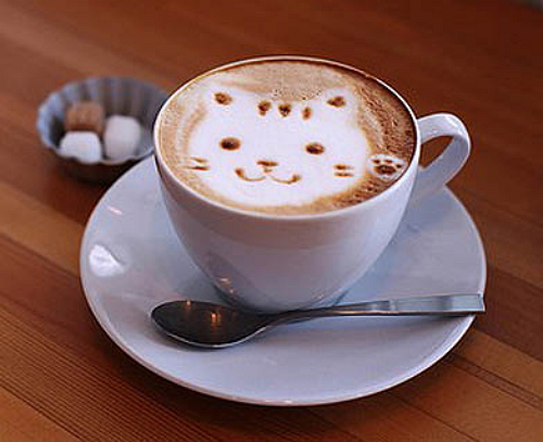 cat-coffee-02