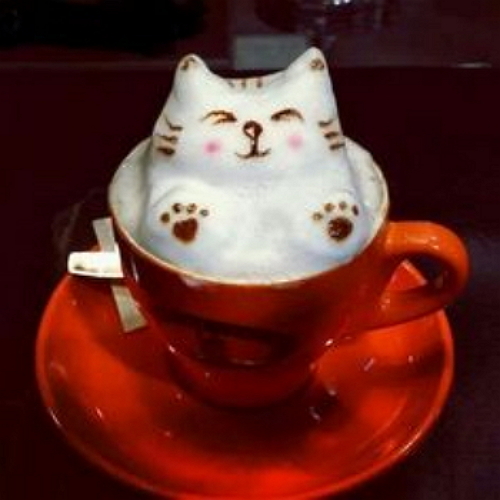 cat-coffee-03