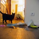 cat-destruction-09