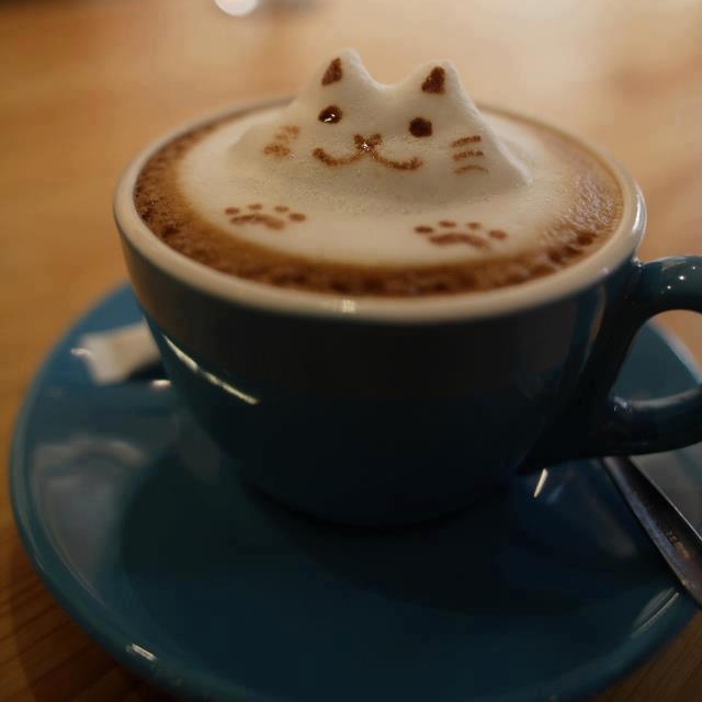 cat-latte-01