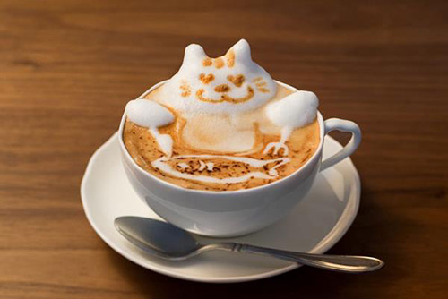 cat-latte-10