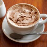 cat-latte-11