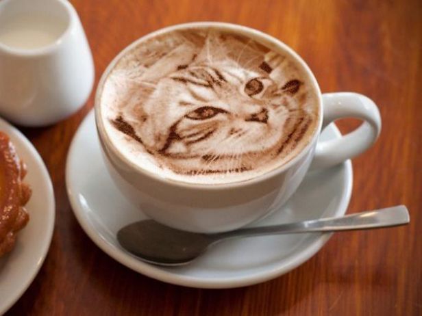 cat-latte-11