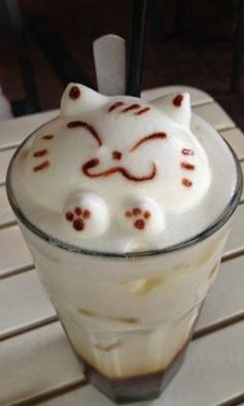 cat-latte-12