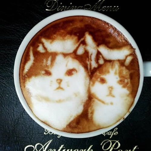 cat-latte-17