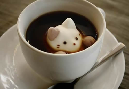 cat-latte-18