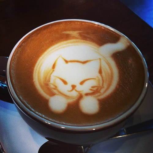 cat-latte-19