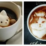 cat-latte-feature