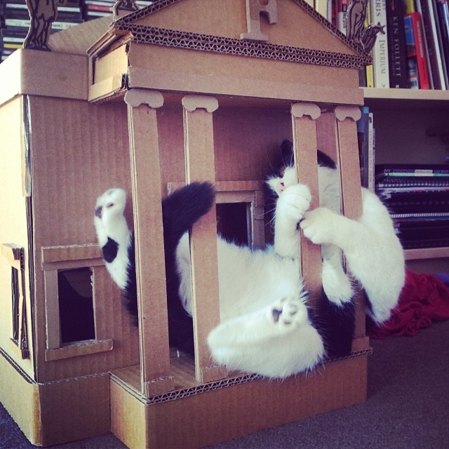 doll-house-cats-03