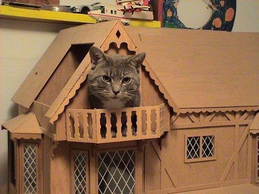 doll-house-cats-06