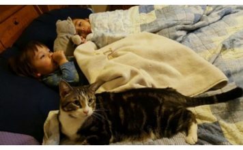 Heroic Rescue Tabby Cat Saves Baby Girl's Life And Finds Forever Home