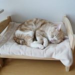 ikea-doll-beds-cats-1