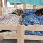 ikea-doll-beds-cats-4