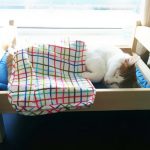 ikea-doll-beds-cats-7