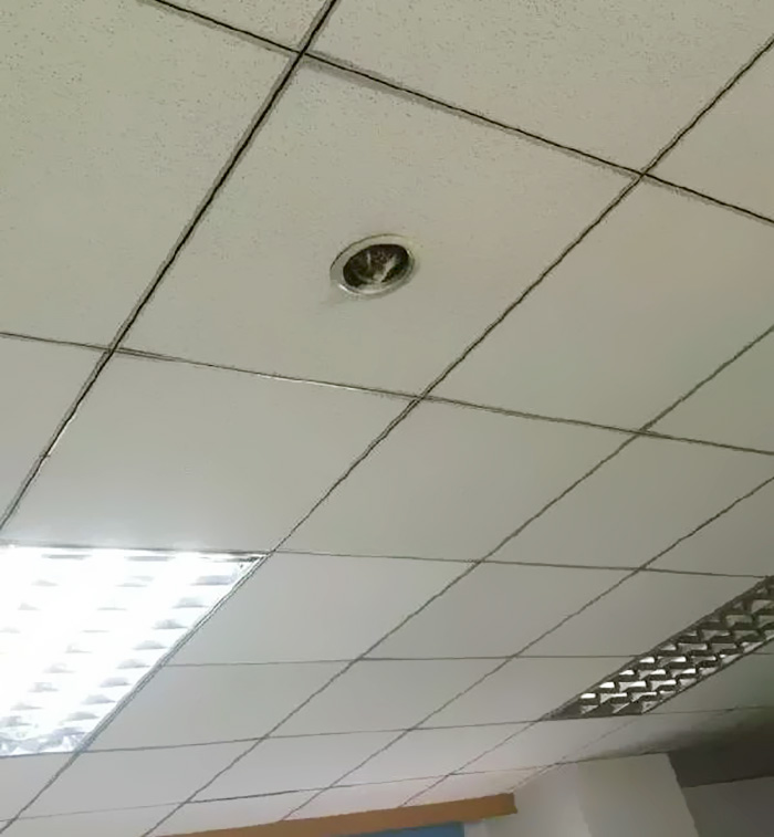 office-ceiling-cat-monitoring-omocha-no-uma-2