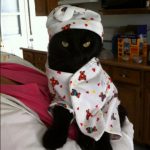 onesie-cats-04